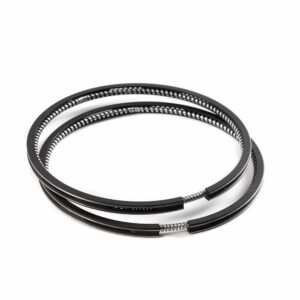 Кольца поршневые LADA 79.4 AMP